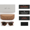 download - 2026-10-24T083016.891 RAY-BAN META Skyler (Gen 2) SMART GLASSES