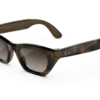 RAY-BAN META Zena (Gen 3) AI GLASSES STANDARD